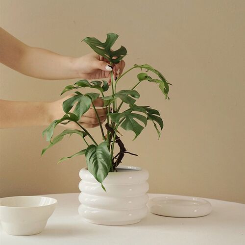 植物私生活 北欧风莫兰迪小众必比登米其林轮胎镀银陶瓷花盆