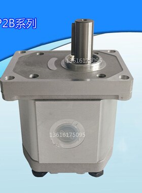 Boden齿轮泵BAP2B1D16C2E3/D10/D12/D14/D18/D20/D25/D28/D30C2E3