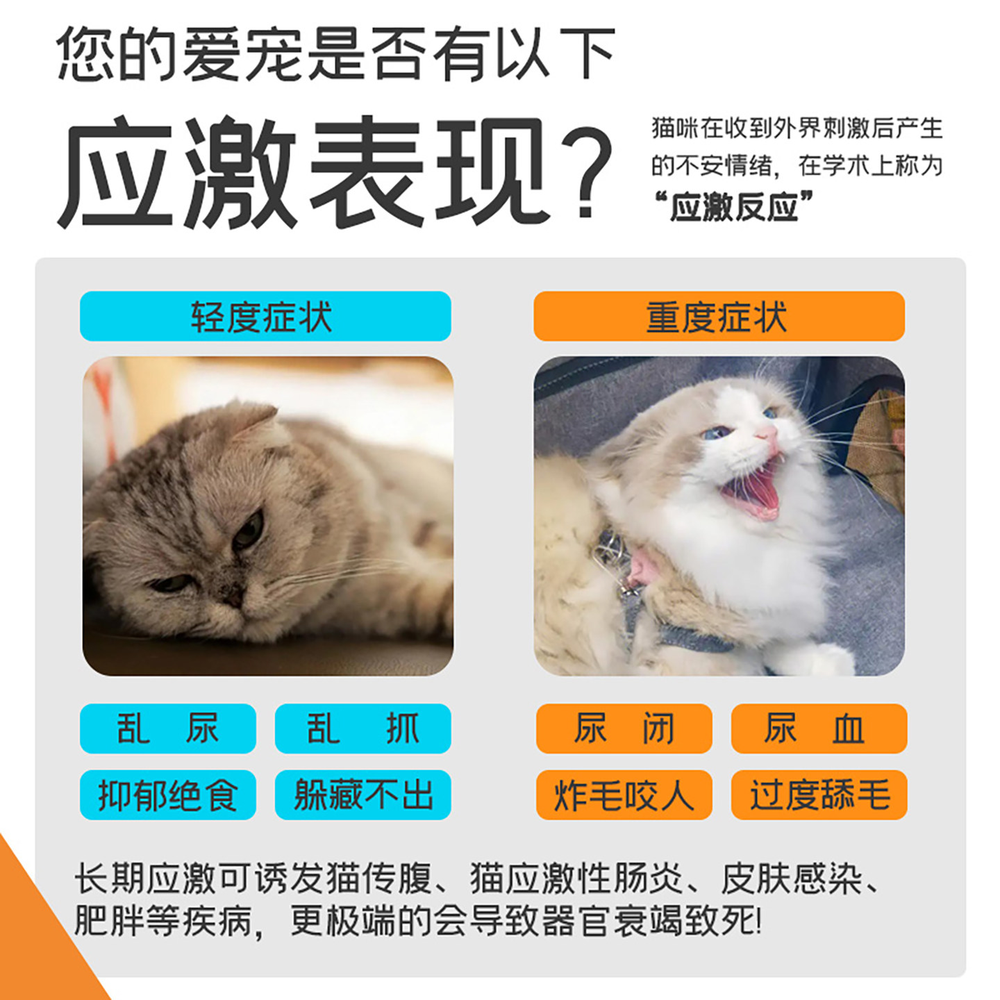 澳滋麦猫用乳铁蛋白冻干营养品宠物冻干零食肠胃乐免激猫咪主食,宠物/宠物食品及用品,猫特色保健品,淘宝优惠券,粉丝福利购,淘宝优惠卷