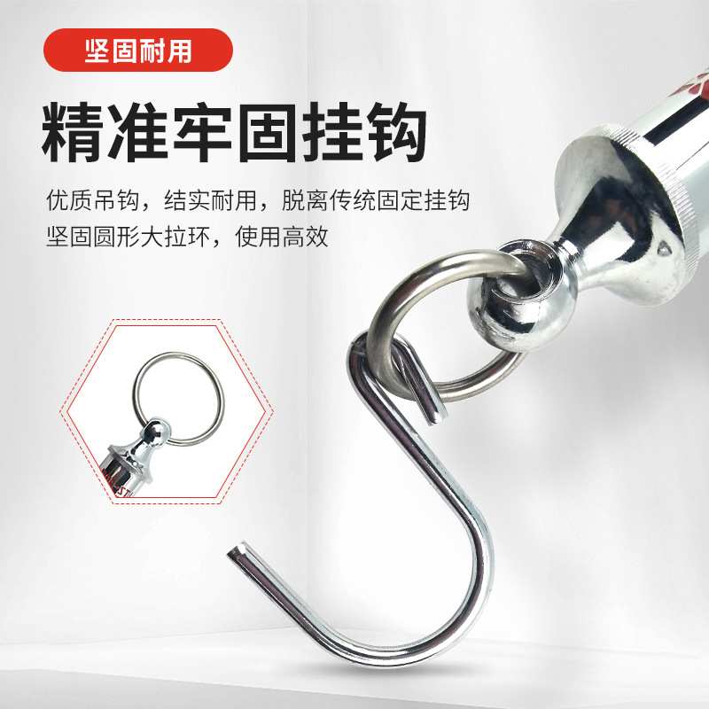 双杰LTZ管型测力计 弹簧秤管形拉力计0-100KG 拉力测试计拉力棒