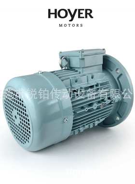 HOYER霍尔电机HMA2 HMC2铝壳铸铁电动机MS Y2E2 HMA3 HMC3船用