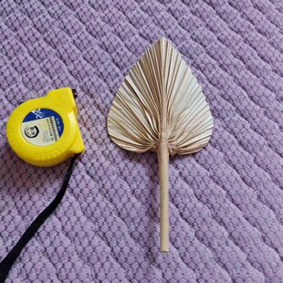 济公扇老式芭蕉葵扇天然手工老人儿童演出舞蹈扇表演迷你工艺小扇