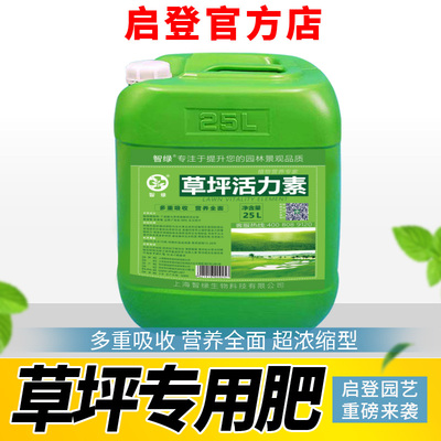 草坪增绿剂专用营养液有机肥料植物生根液绿化养护草皮返青活力素