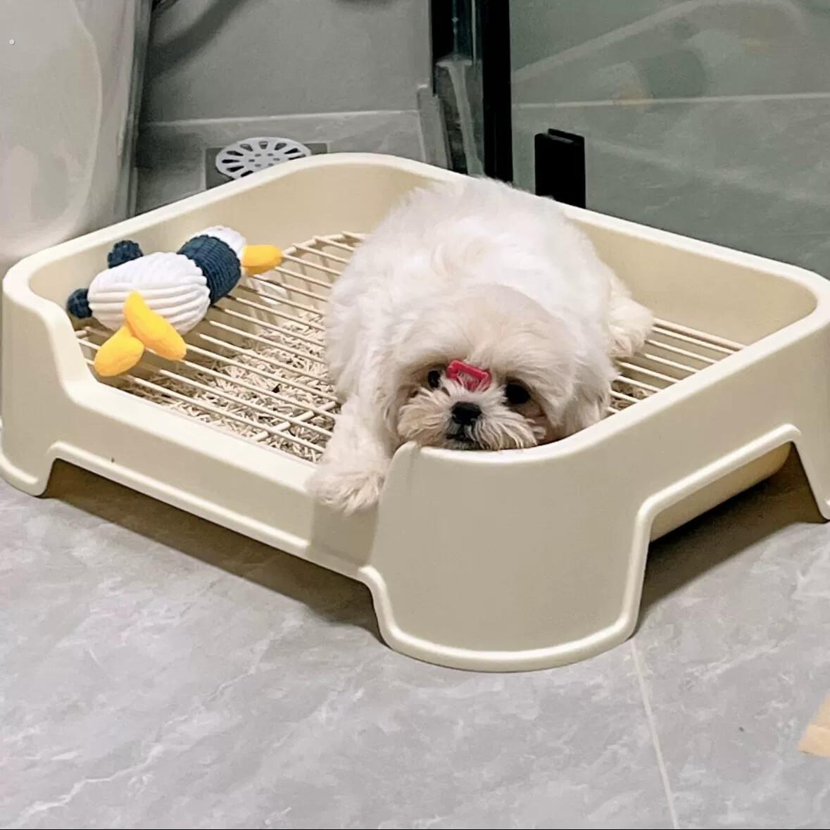 狗狗厕所中小型犬专用尿盆防踩屎不锈钢狗砂盆小狗大小便拉屎神器