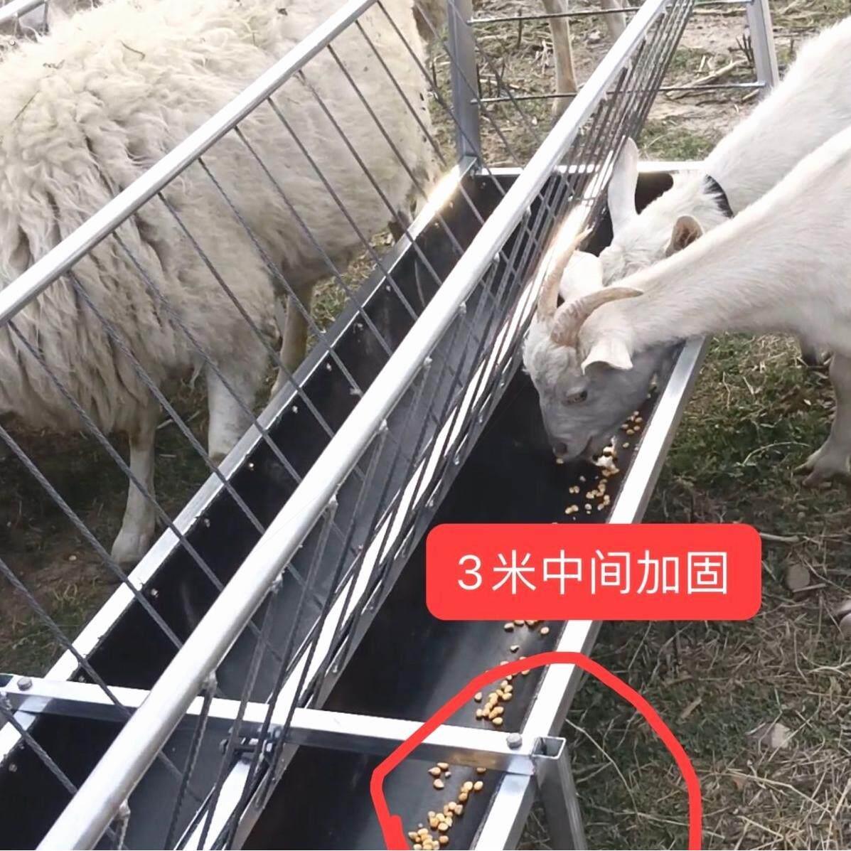 德国品质羊槽子羊食料槽双面槽单面槽羊羔槽加厚镀锌材质养羊设备