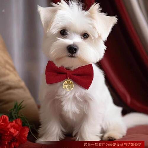 狗狗领结红色喜字衣服小猫咪结婚装饰围脖大狗宠物婚礼蝴蝶结项圈