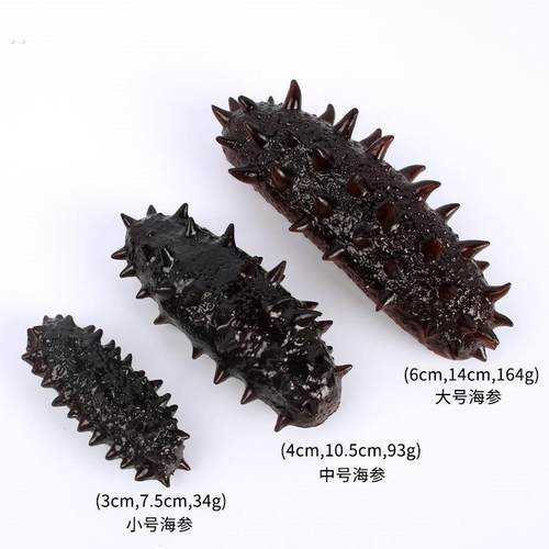 大号仿真辽参海参模型刺参塑料食玩海鲜饭店酒店菜品摆件拍摄道具