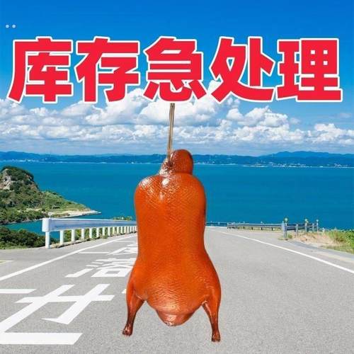 北京烤鸭烤鸭模型仿真鸭胚仿真烤鸭仿真拍摄道具模型仿真烧鸭