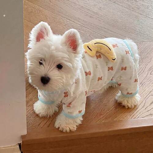 小狗狗衣服夏季薄款猫咪雪纳瑞小型犬四脚衣防掉毛防脏宠物凉凉衣