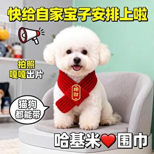猫咪新年围脖宠物狗狗围巾装饰品小配饰红色喜庆编针织保暖口水巾
