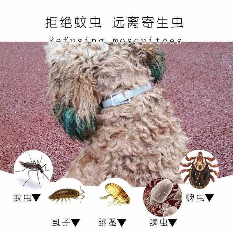 直销新款跨境宠物除蚤项圈猫狗通用除跳蚤螨虫寄生虫亚马逊热销新,宠物/宠物食品及用品,项圈/肩带,淘宝优惠券,粉丝福利购,淘宝优惠卷