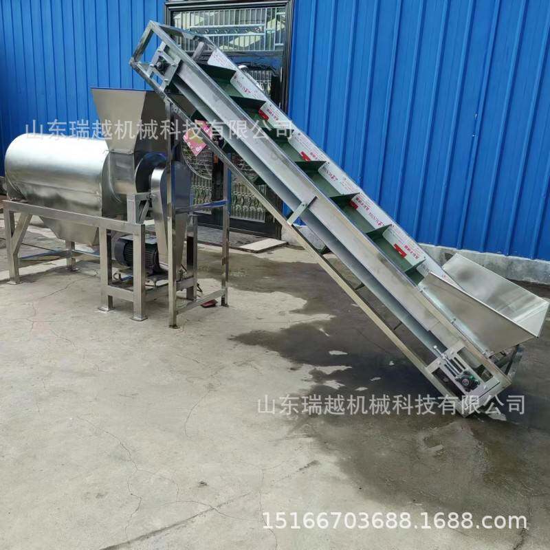 水果去核打浆机 商用枇杷去核打浆机 辣椒打浆机 牛油果去核打浆