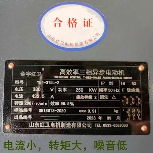 山东源头厂家直供YE4-315L-2/250KW YE4系列三相异步电动机 质保