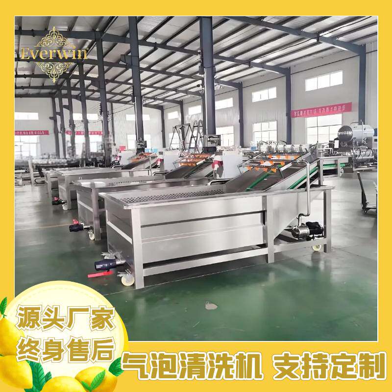全自动辣椒黄瓜气泡清洗机不锈钢洗中草药设备高压喷淋洗虾机器