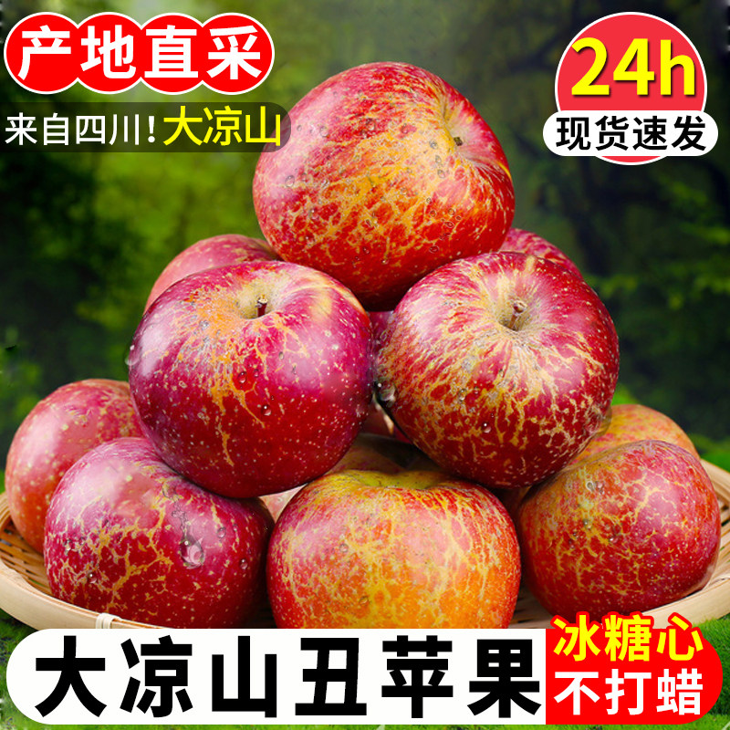正宗大凉山盐源冰糖心丑苹果10斤当季新鲜水果包邮四川红富士平果,水产肉类/新鲜蔬果/熟食,苹果,淘宝优惠券,粉丝福利购,淘宝优惠卷