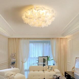 羽毛主卧室吸顶灯现代简约奶油风客厅灯网红个性爆款家用卧室灯具