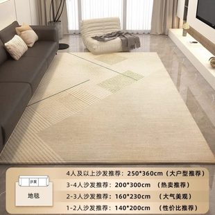 2024风高级进门地垫卧室轻奢沙发 极简网红茶几毯家用客厅地毯新款