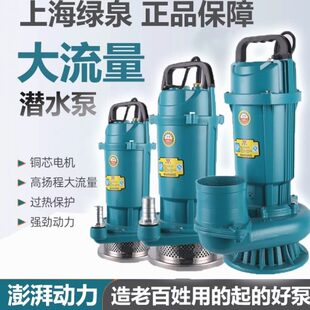 德国进口家用220V纯铜水泵农用单相农用灌溉小型潜水泵高扬程大流