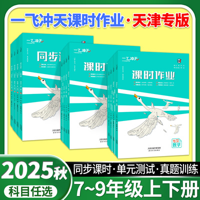 2025一飞冲天课时作业初中任选