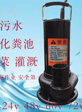 化粪池专用便携式浇菜直流电动车排污水泵24V72抽水机48Wv-60v户