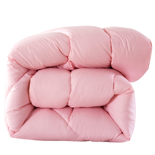 单人双人被e子冬被加厚被冬被学生被春秋被保暖被羽丝绒被芯空调