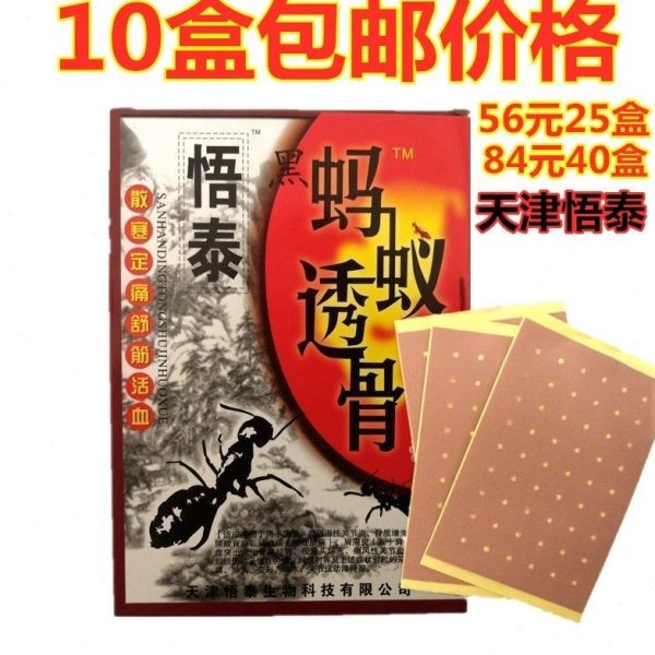 10盒包邮 天津悟泰蚂蚁筋骨宁透骨贴 黑蚂蚁透膏贴