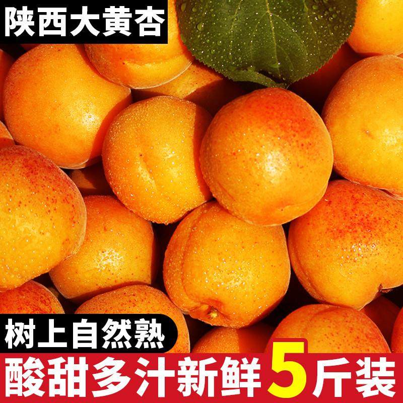 新货现摘杏子新鲜水果整箱黄杏应当季酸甜脆杏整箱大果青蜜杏包邮,粮油调味/速食/干货/烘焙,粽子,淘宝优惠券,粉丝福利购,淘宝优惠卷