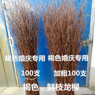 干枝干花鲜枝龙柳干枝，婚庆拱门，橱窗装饰花隔断龙桑干枝
