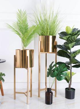 斯堪的纳维亚无障碍豪华镀金花架在客厅电视柜角落Pothos花盆植物
