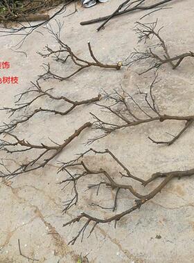 干树枝去皮原木树干枯树枝带分枝带杈树枝室内挂灯干花插花瓶装饰