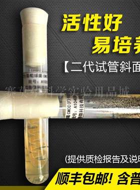CMCC(F)98003 黑曲 二代斜面 阳性对照 培养基质检