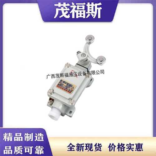 广西厂家供应LX5-211防爆行程限位开关 EX限位开关LX5- 211系列