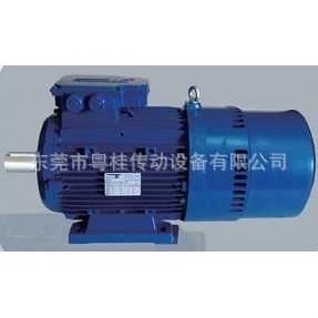 0.75KW Temporiti进口电机REBM80B4 原装 意大利Temporiti刹车电机
