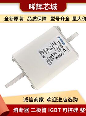 170M5141 170M5142 型号齐全 低压快速熔断器 标准封装电子元器件