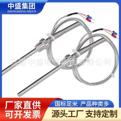 炉壁热电阻WREK2-192M 0-600℃ L=3000*3000