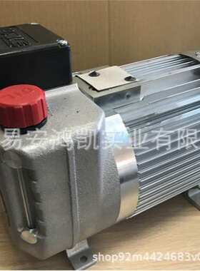 V60N-060 RSFN-2-0-03/LSP/ZL-2/155-210柱塞泵HAWE  GR 2-3-L 24