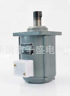 YDT250-2微型三相异步电动机ASF82A120W液压推动器用小型电机60W