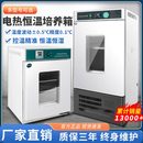 电热恒温培养箱恒湿试验箱微生物发催芽细菌霉菌生化实验室BOD箱