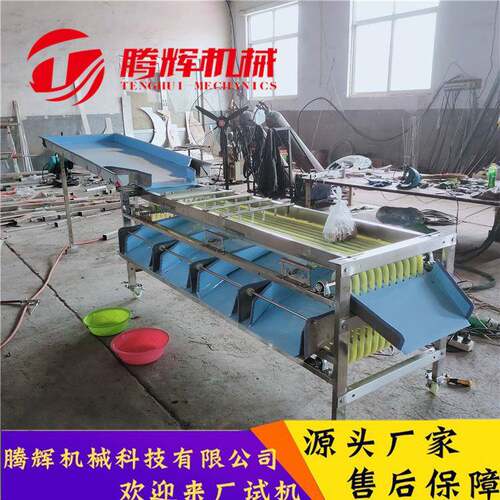 百香果水果选果机分选机 各种型号供应 轨道式分级筛选机机械