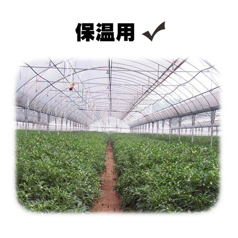 农用小拱棚膜 大棚膜聚乙烯吹塑薄膜 透明保温蔬菜大棚地膜保护膜
