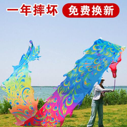 舞龙彩带健身龙带甩彩带甩甩龙龙头舞龙广场舞中老年初学表演道具