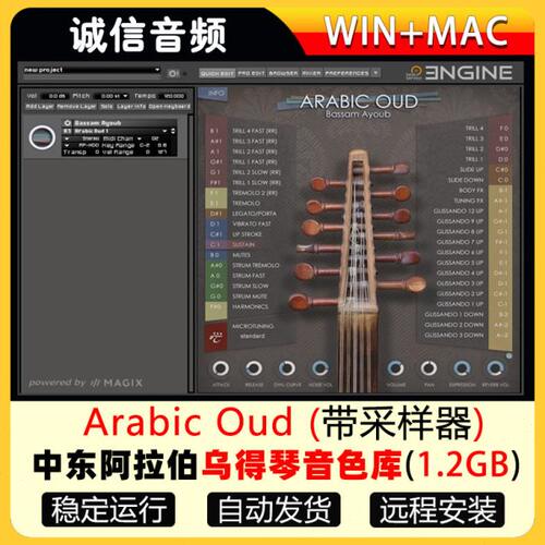 中东阿拉伯乌得琴音色库-Best Service Arabic Oud Engine 2音源