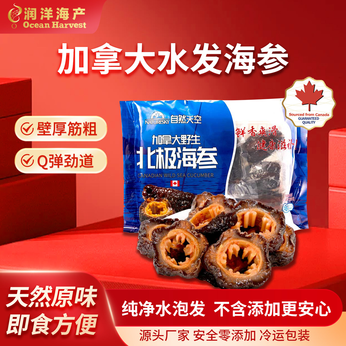 NATURESKY加拿大水发即食海参进口海参红极参北极红参化冻即食