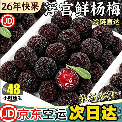 云果农鲜丰浮宫杨梅顺丰京东空运