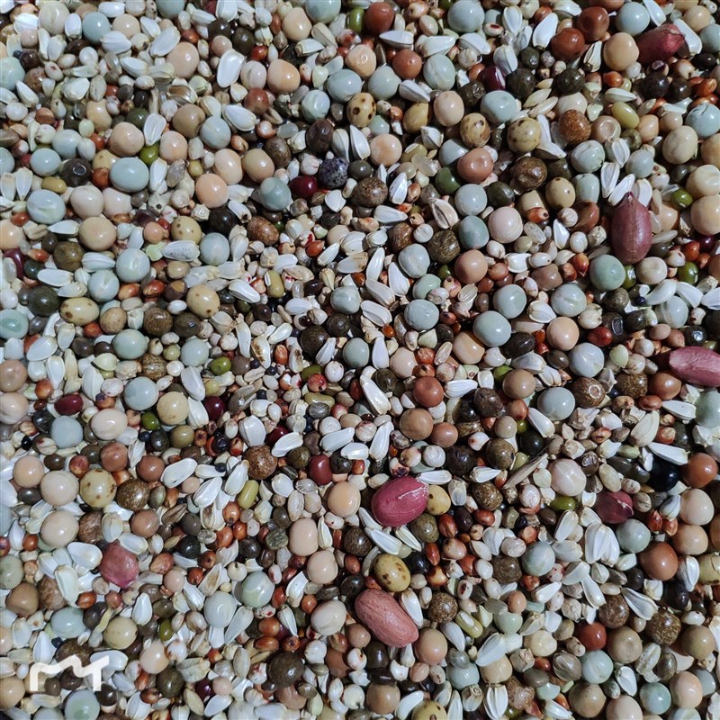 幼鸽粮食无小麦无玉米10斤装赛鸽信鸽肉鸽观赏鸽营养饲料鸟食