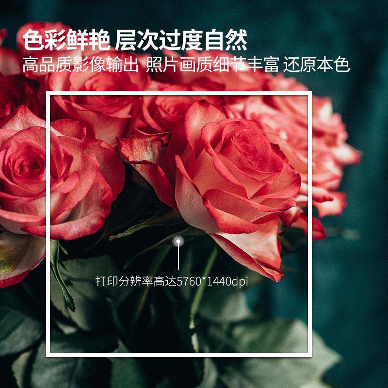 LWLY80菲家58彩色照片打印机喷墨线无用六6色林连供热转印L805