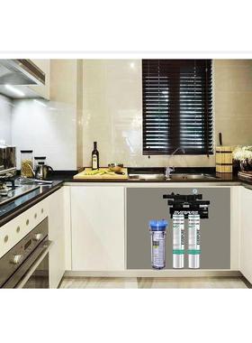 爱惠浦净水 商用双MC奶茶店大联流量直夹子2饮机过滤水器咖啡