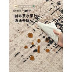 毯客025新款厅轻奢高级现代z2025XLX简约免洗可擦防水防2地污卧室