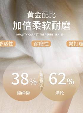 法fsdt-AWR式客新厅可地毯2025款沙轻奢高级感大面积全铺免洗擦发