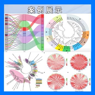 生信分析2-5分TCGA数据验证生信服务构建预后模型单细胞转录组分